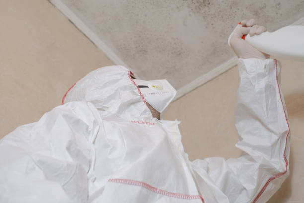 Best Residential Mold Remediation in Wyandanch, NY