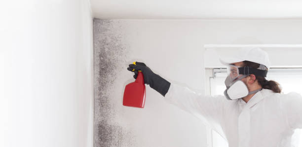 Best HVAC Mold Remediation in Wyandanch, NY