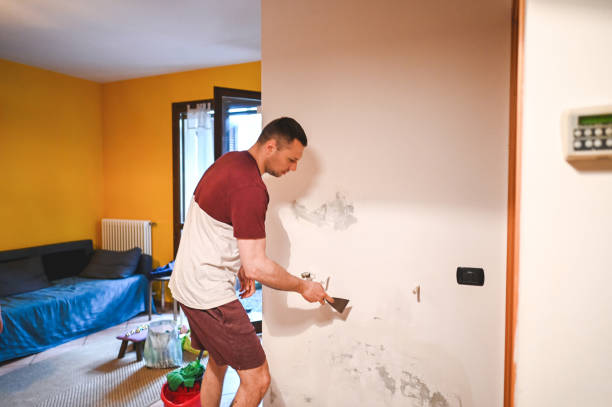 Best Attic Mold Remediation in Wyandanch, NY